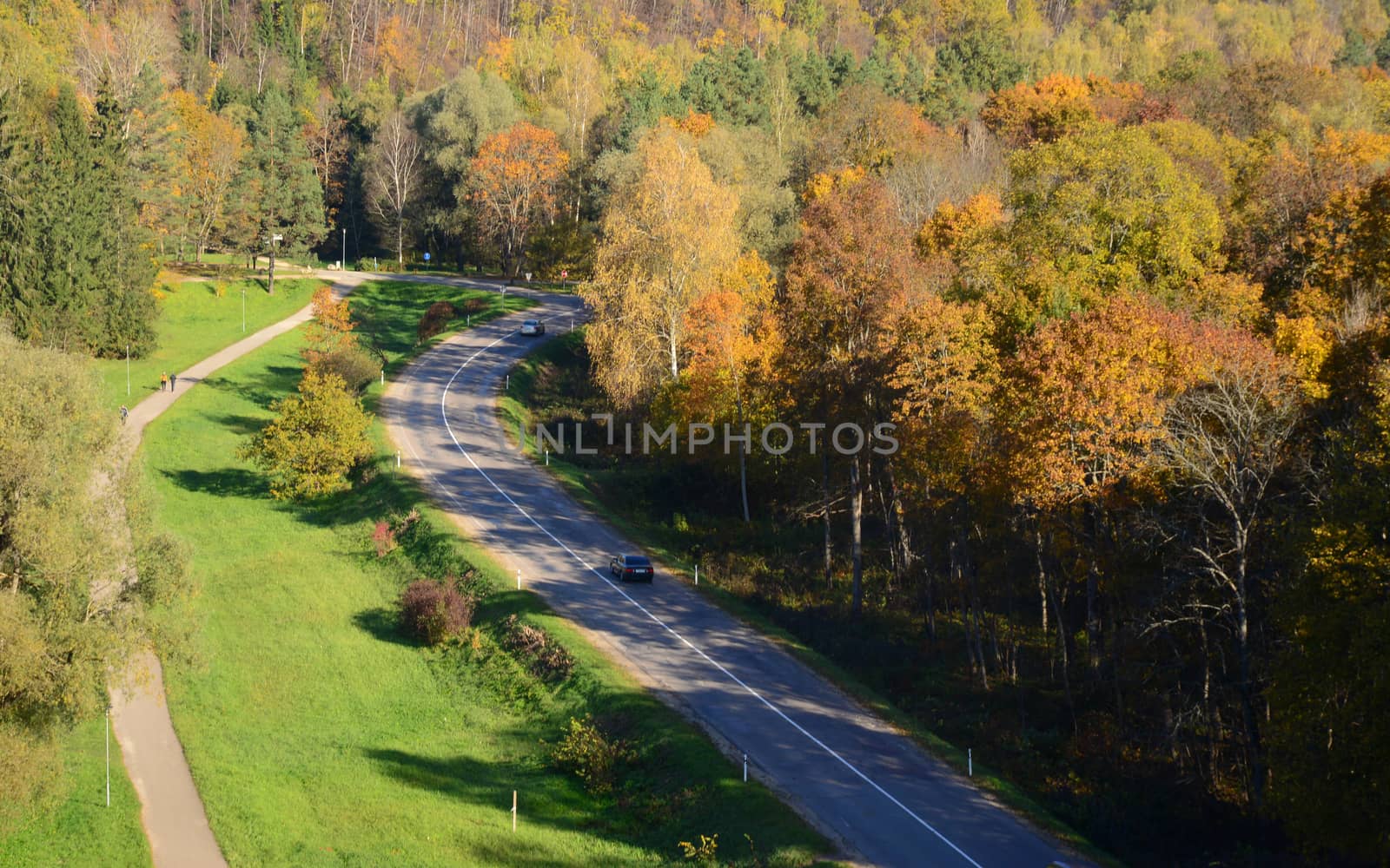 Photo of a road in the forest from a large distance. Nature photography.