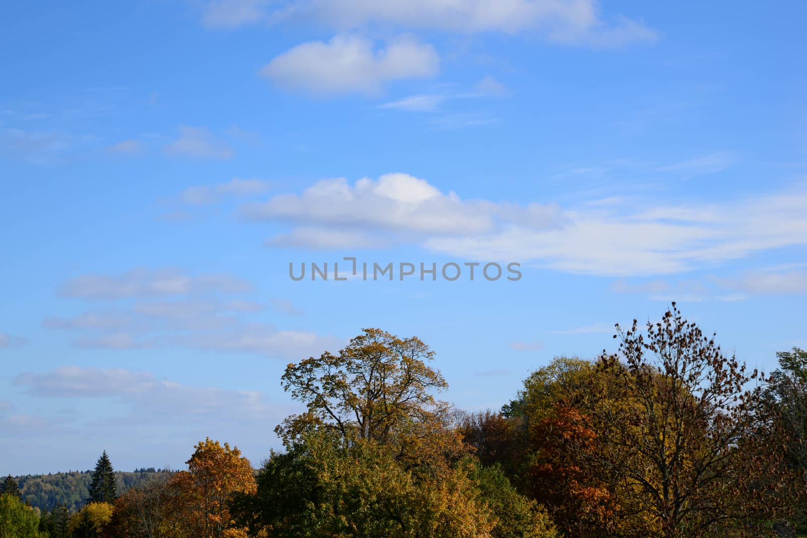 Photo of clouds over autumn trees. Nature photography. Taken in Sigulda.