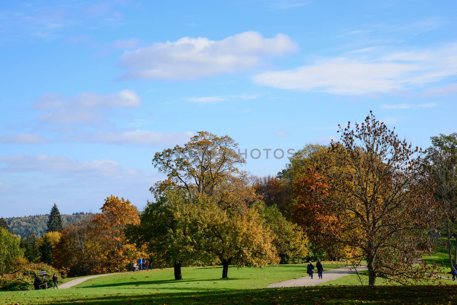 Photo of clouds over autumn trees in a park. Nature photography.