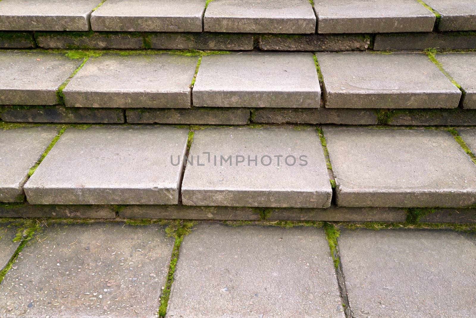 Photo of a stone staircase. Taken in Sigulda, Latvia.