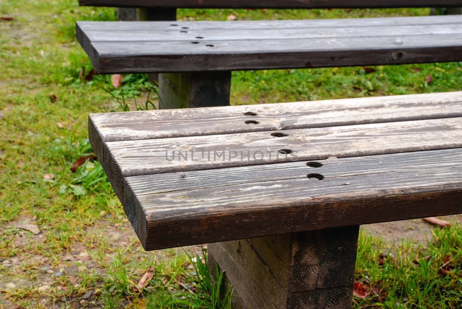 wooden bench in the park by dk_photos