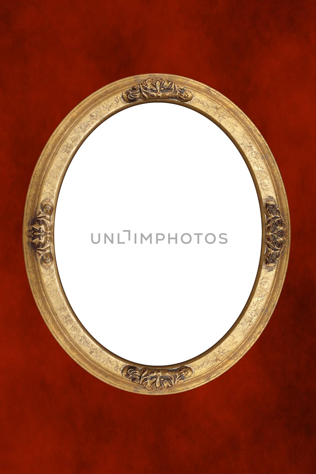 Isolated inside gold frame