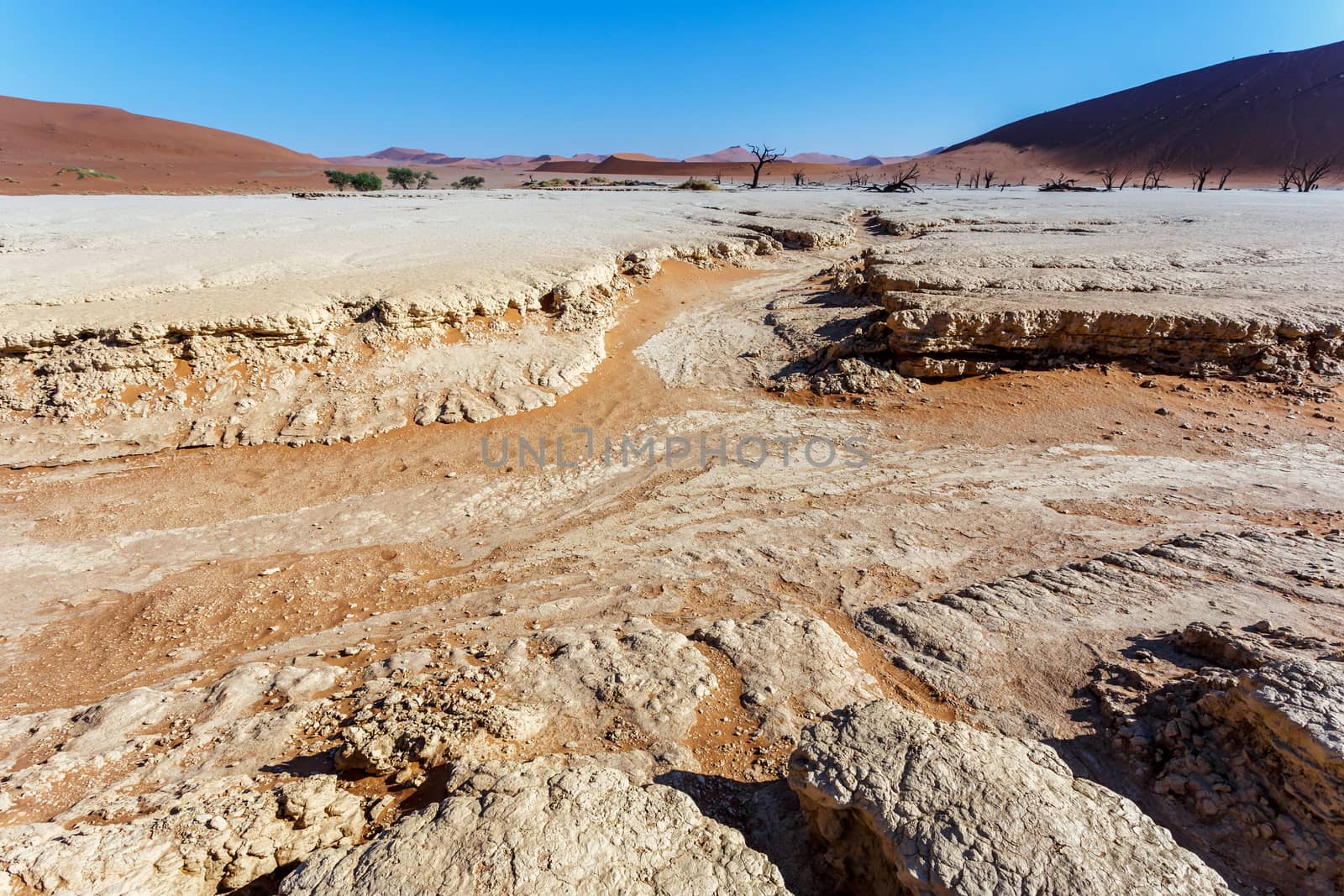 Sossusvlei beautiful sunrise landscape of hidden death valley in Namibian desert with blue sky, best place in Namibia