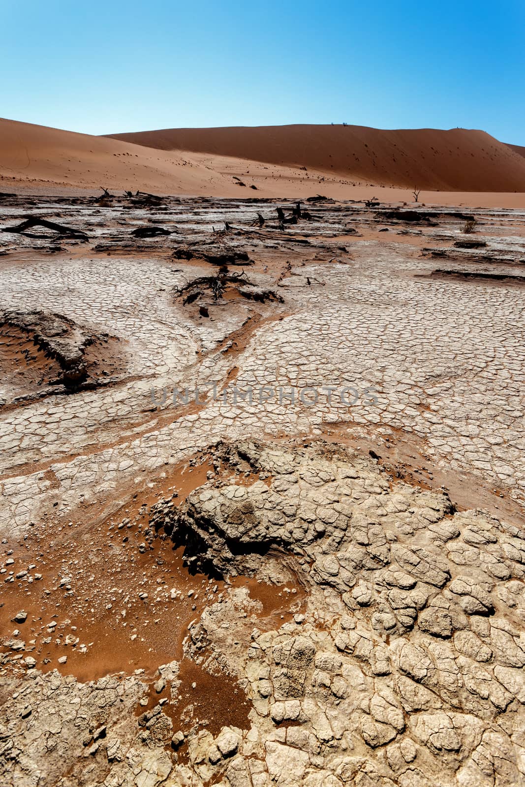 Sossusvlei beautiful sunrise landscape of hidden death valley in Namibian desert with blue sky, best place in Namibia