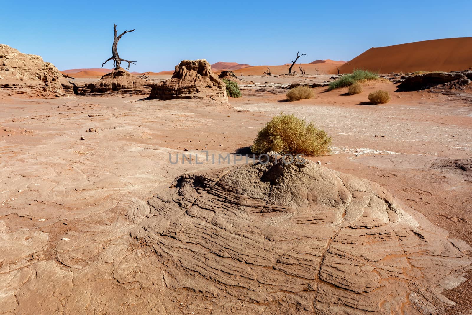 Sossusvlei beautiful sunrise landscape of hidden death valley in Namibian desert with blue sky, best place in Namibia