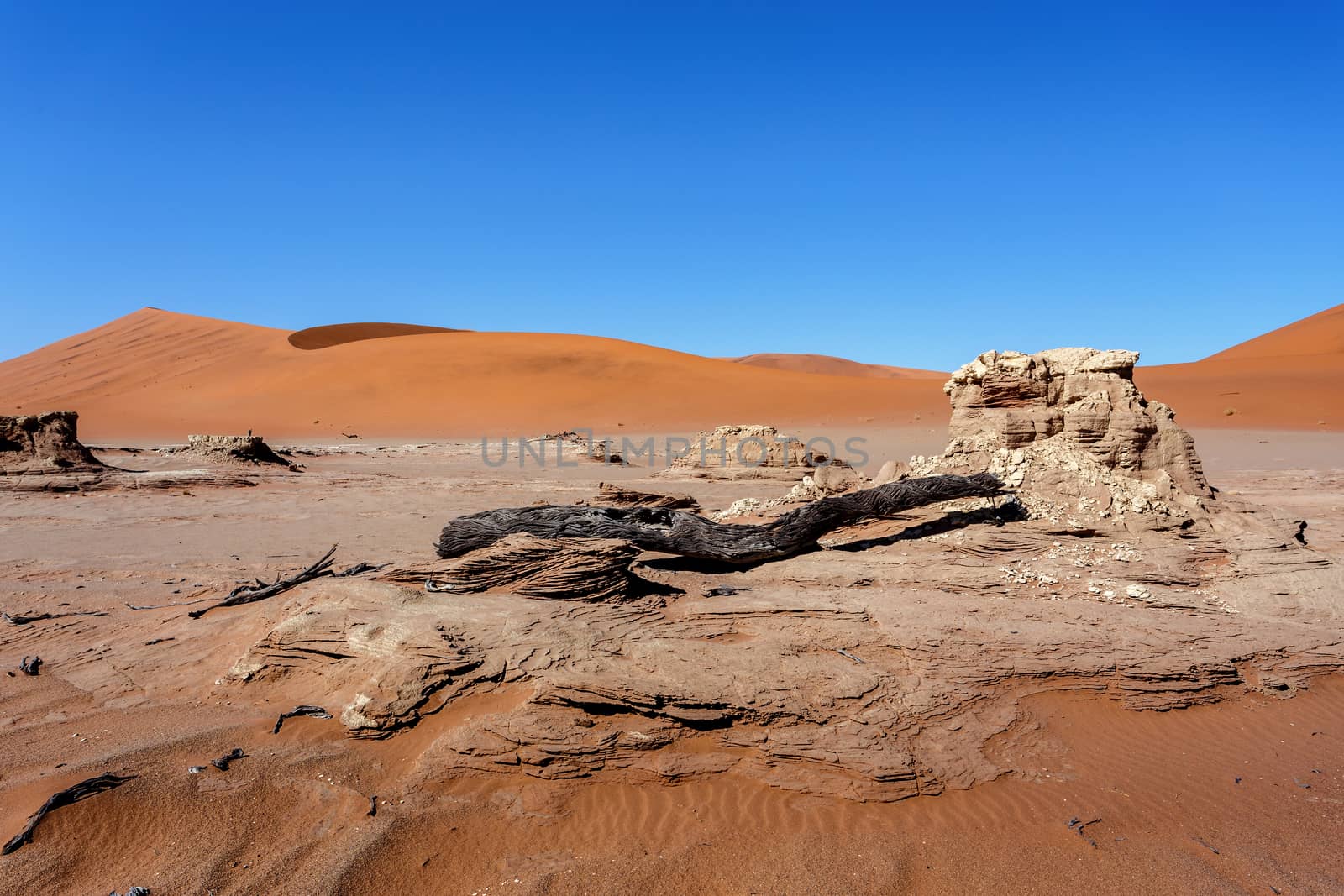 Sossusvlei beautiful sunrise landscape of hidden death valley in Namibian desert with blue sky, best place in Namibia
