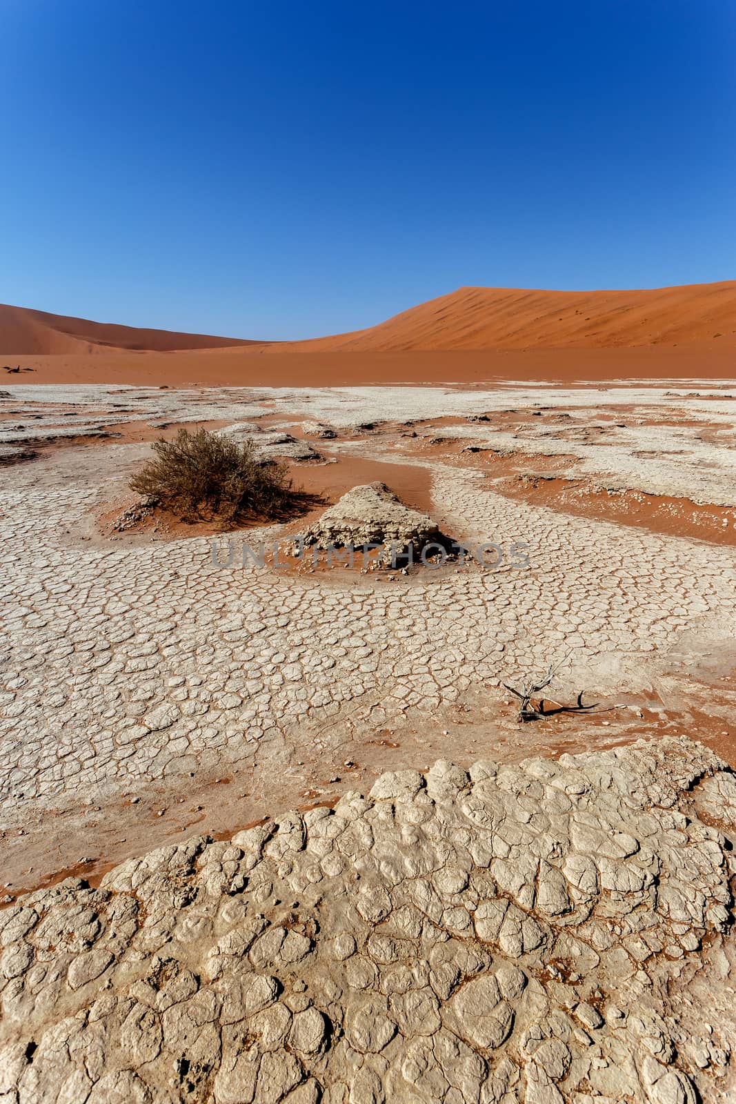 Sossusvlei beautiful sunrise landscape of hidden death valley in Namibian desert with blue sky, best place in Namibia