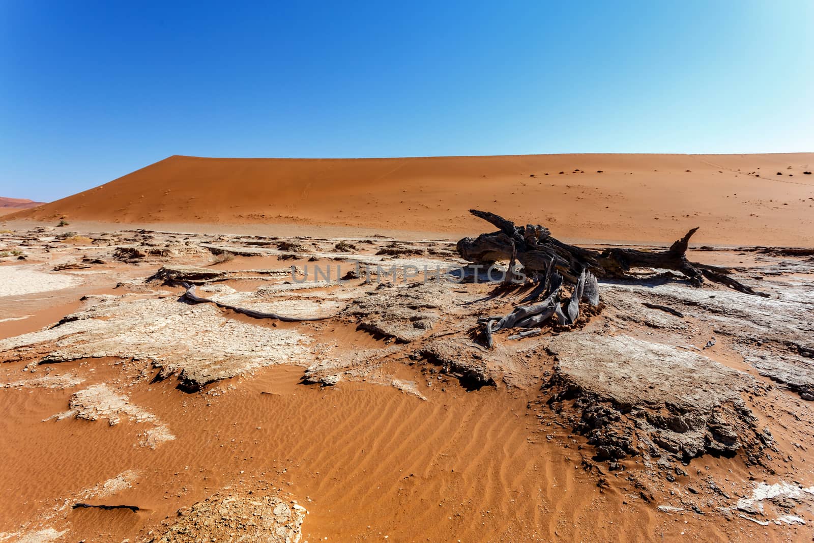 Sossusvlei beautiful sunrise landscape of hidden death valley in Namibian desert with blue sky, best place in Namibia