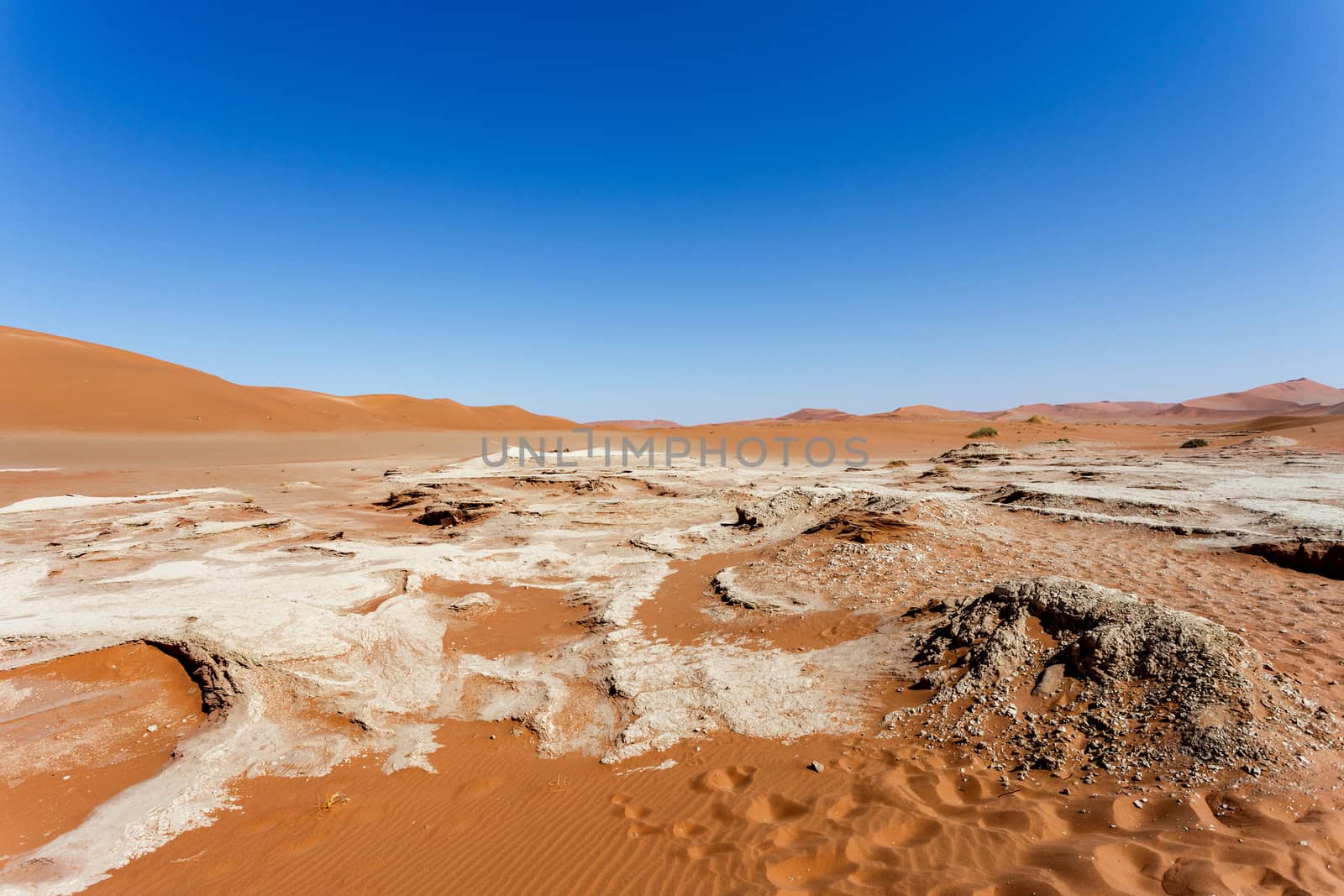 Sossusvlei beautiful sunrise landscape of hidden death valley in Namibian desert with blue sky, best place in Namibia