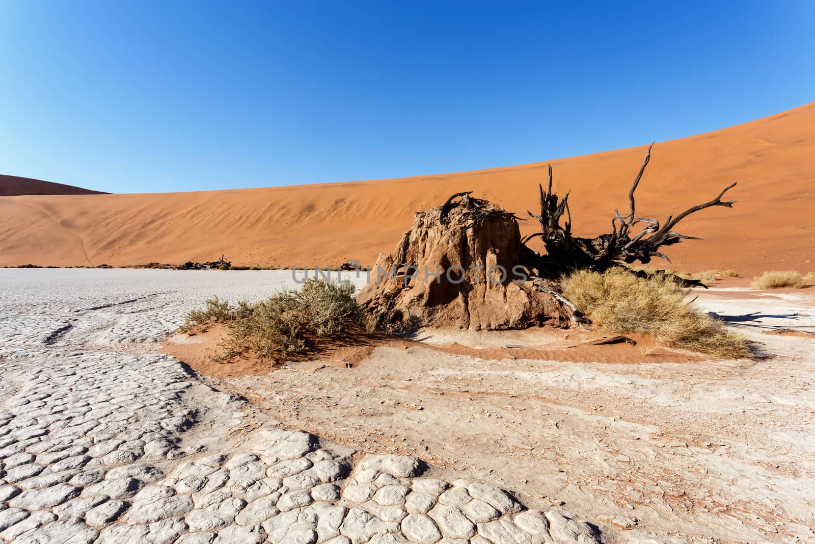Sossusvlei beautiful sunrise landscape of hidden death valley in Namibian desert with blue sky, best place in Namibia