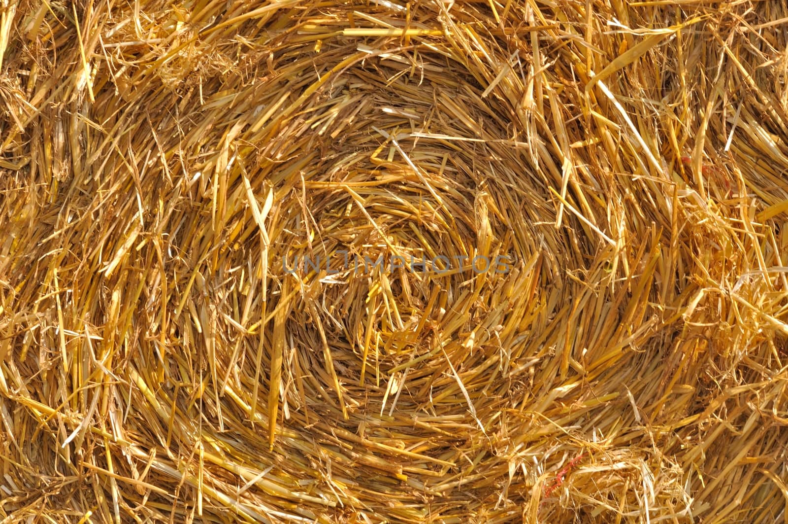 Round straw bales in harvested fields 