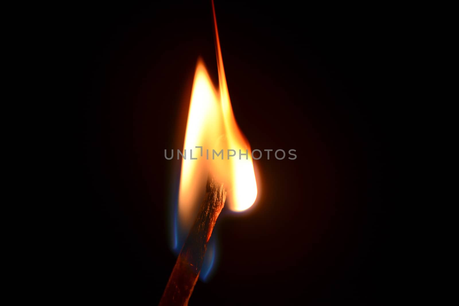 Photo of a match fire isolated on a black background. Objects photography.