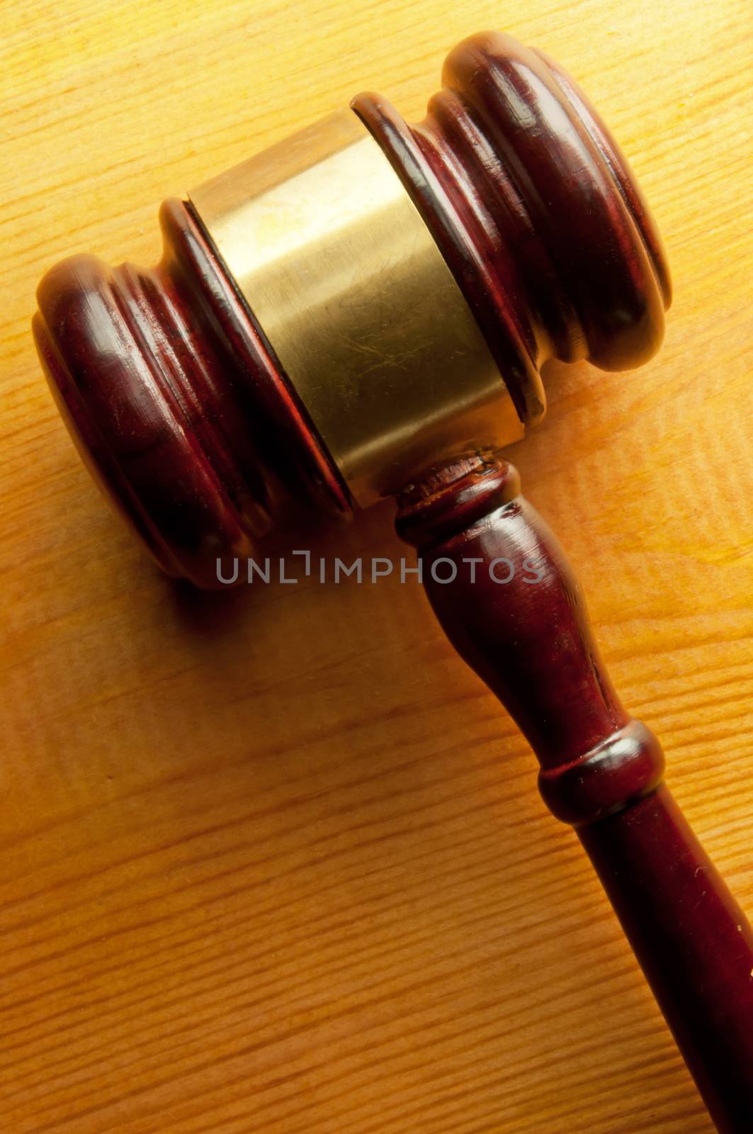 Gavel law concept  by unikpix