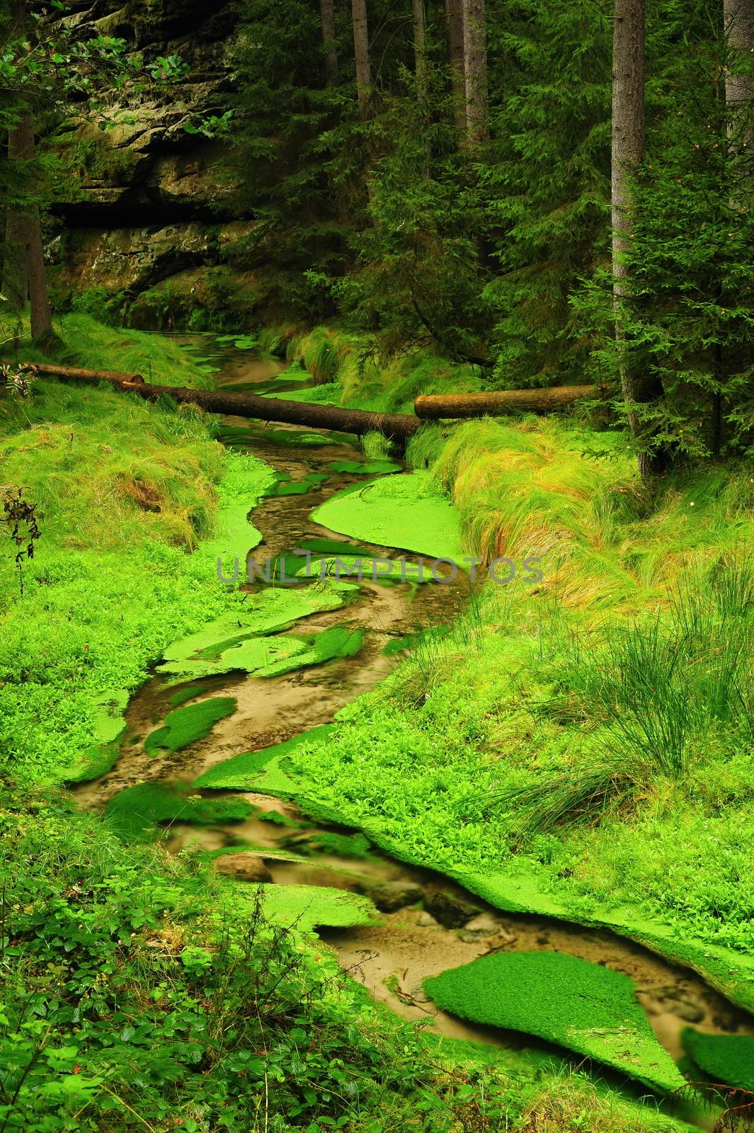 A small river flows through a beautiful green valley