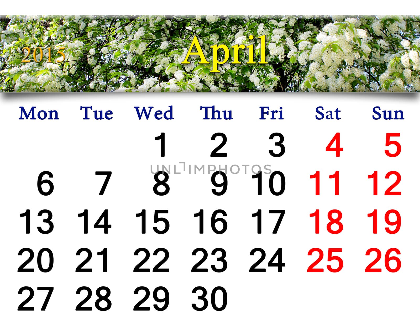 calendar for May of 2015 with bird cherry tree by alexmak