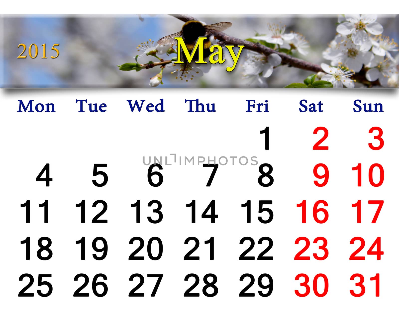 calendar for the May of 2015 year by alexmak