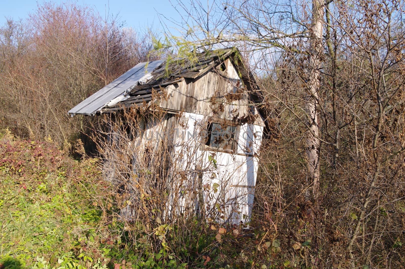 old ruined hut in a scrub