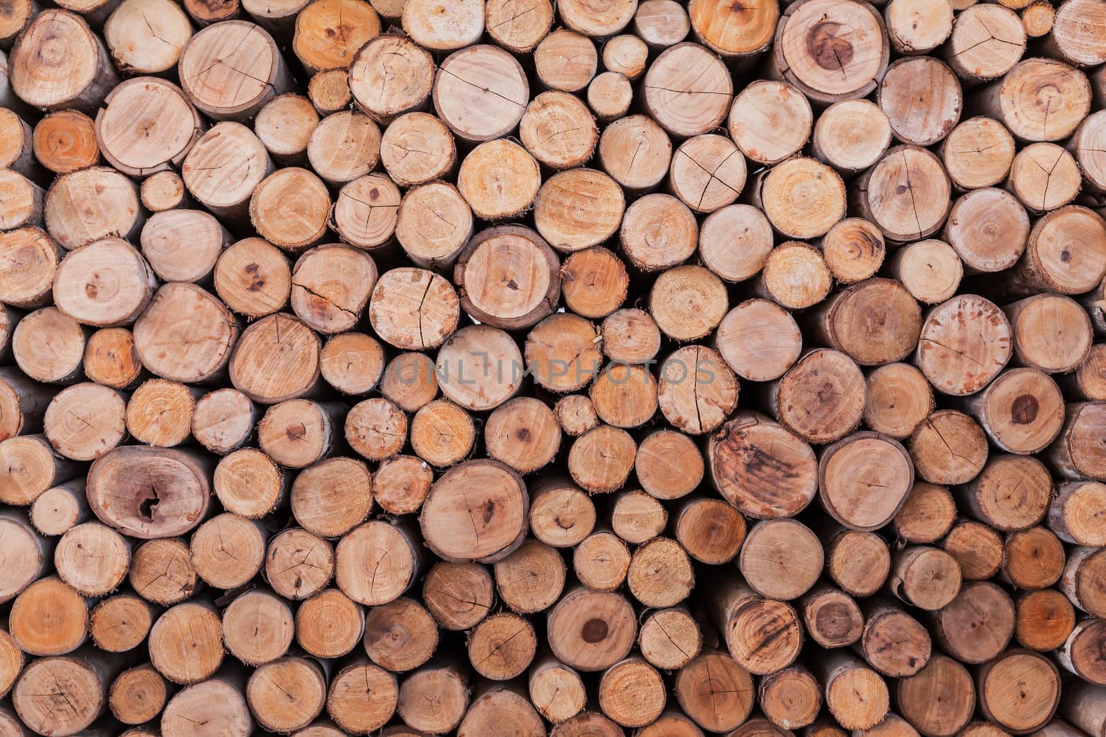 wood log texture background by FrameAngel