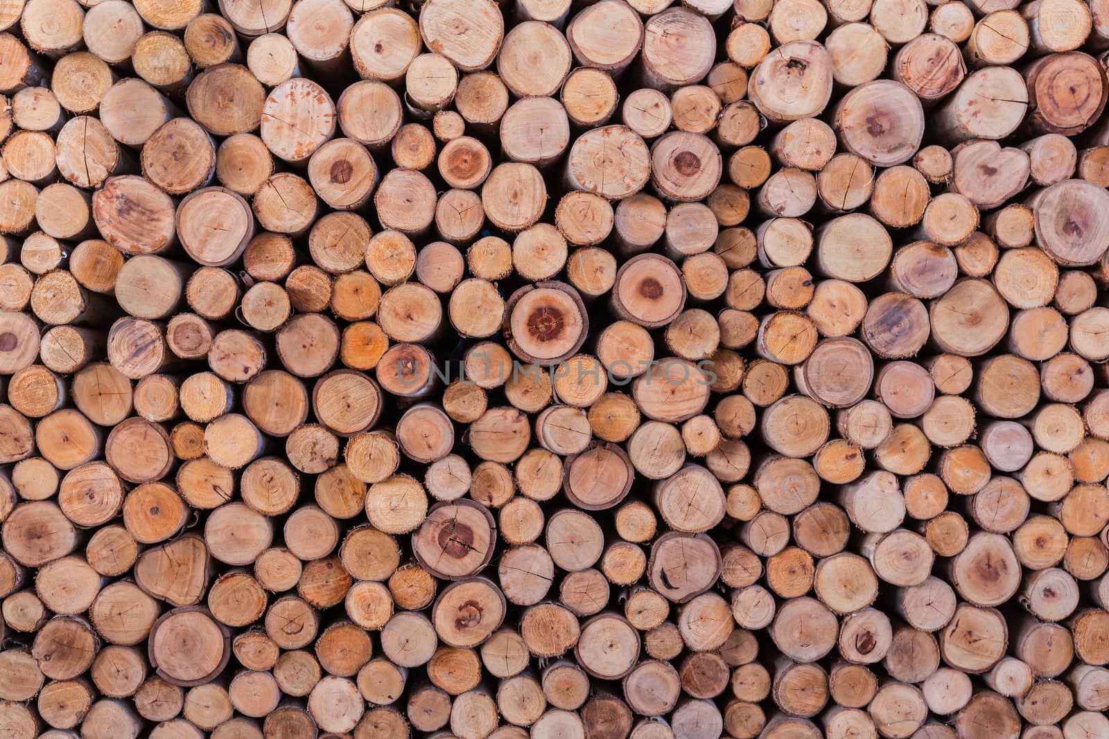 wood log texture background by FrameAngel