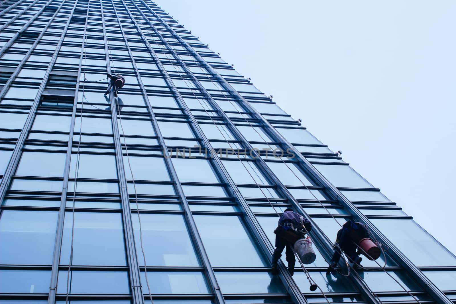 Group of Cleaners are cleaning windows of a office building