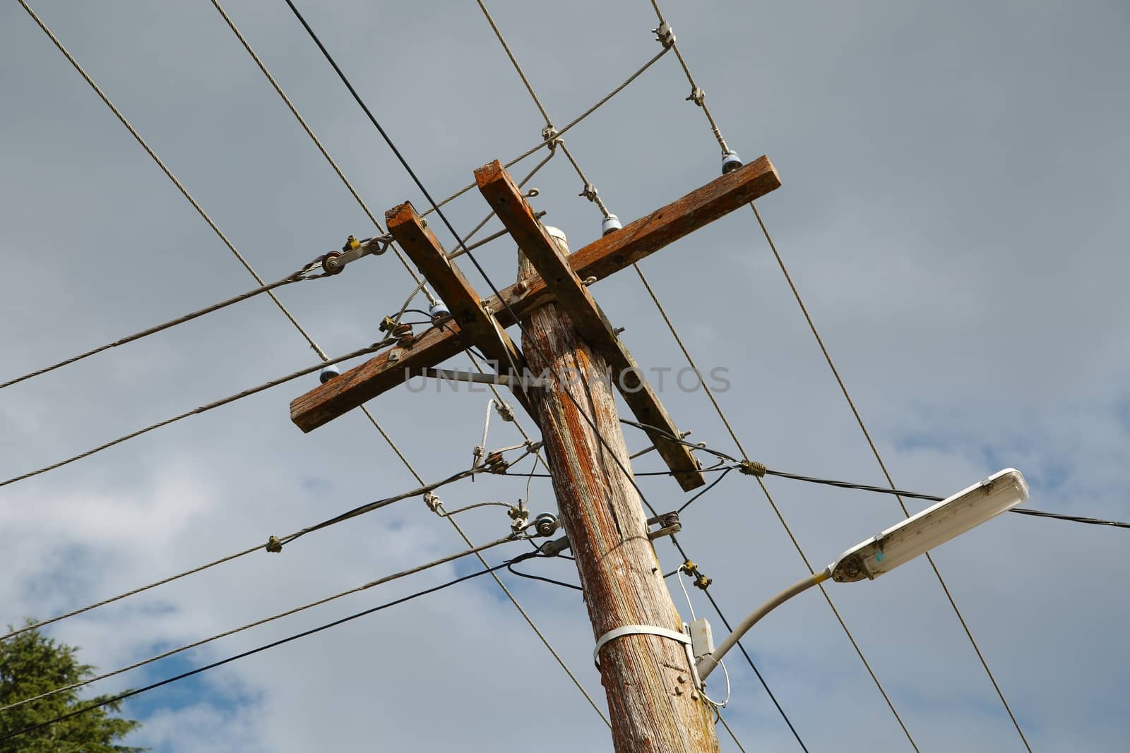 Many cables of electric lines