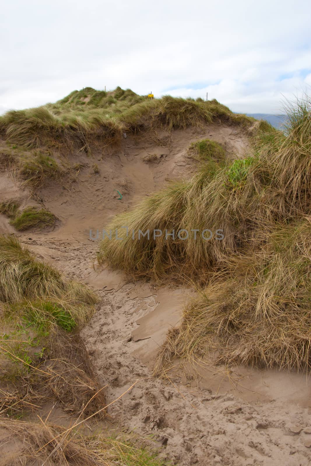 path through dunes at the maharees a beautiful beach in county Kerry Ireland