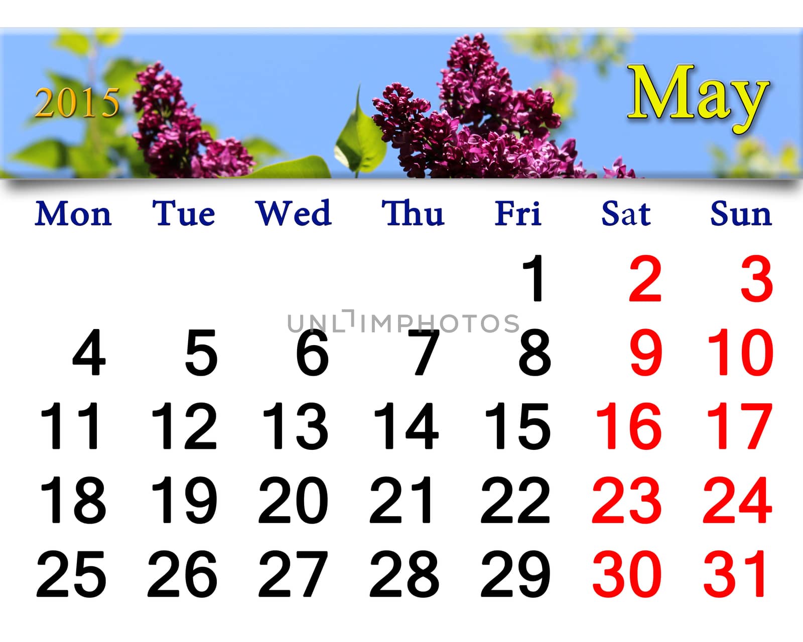 calendar for May of 2015 year with lilac by alexmak