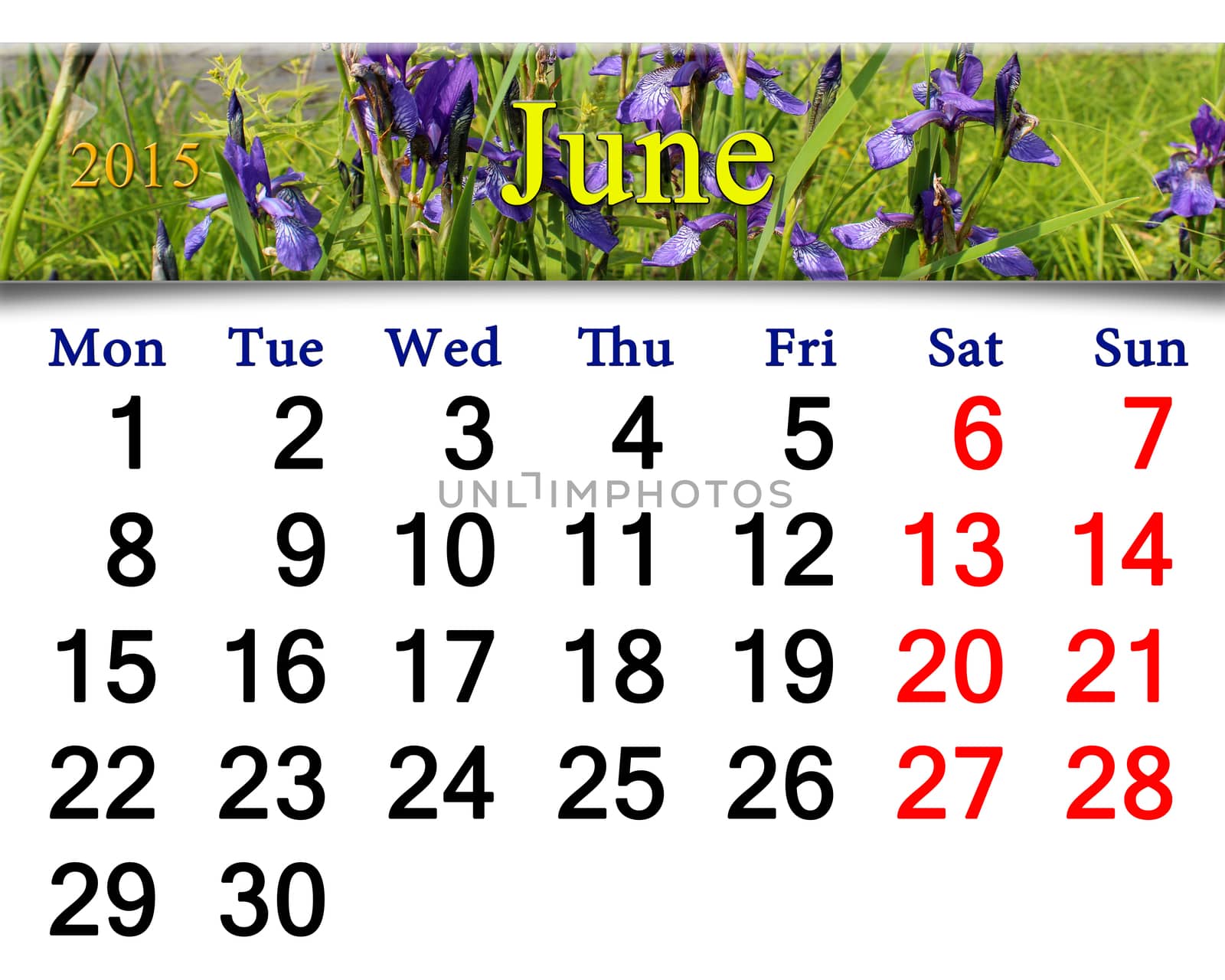 calendar for May of 2015 year on the background of blossoming iris