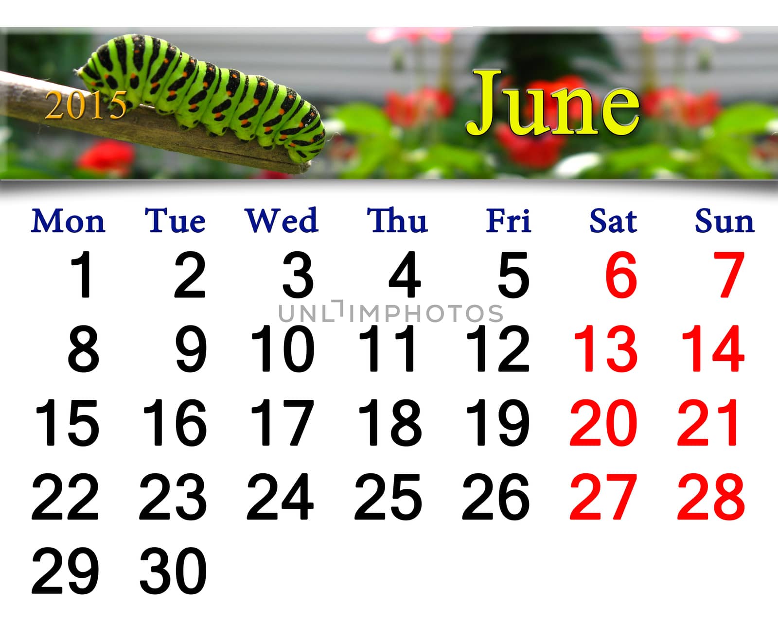 calendar for June of 2015 year with caterpillar by alexmak