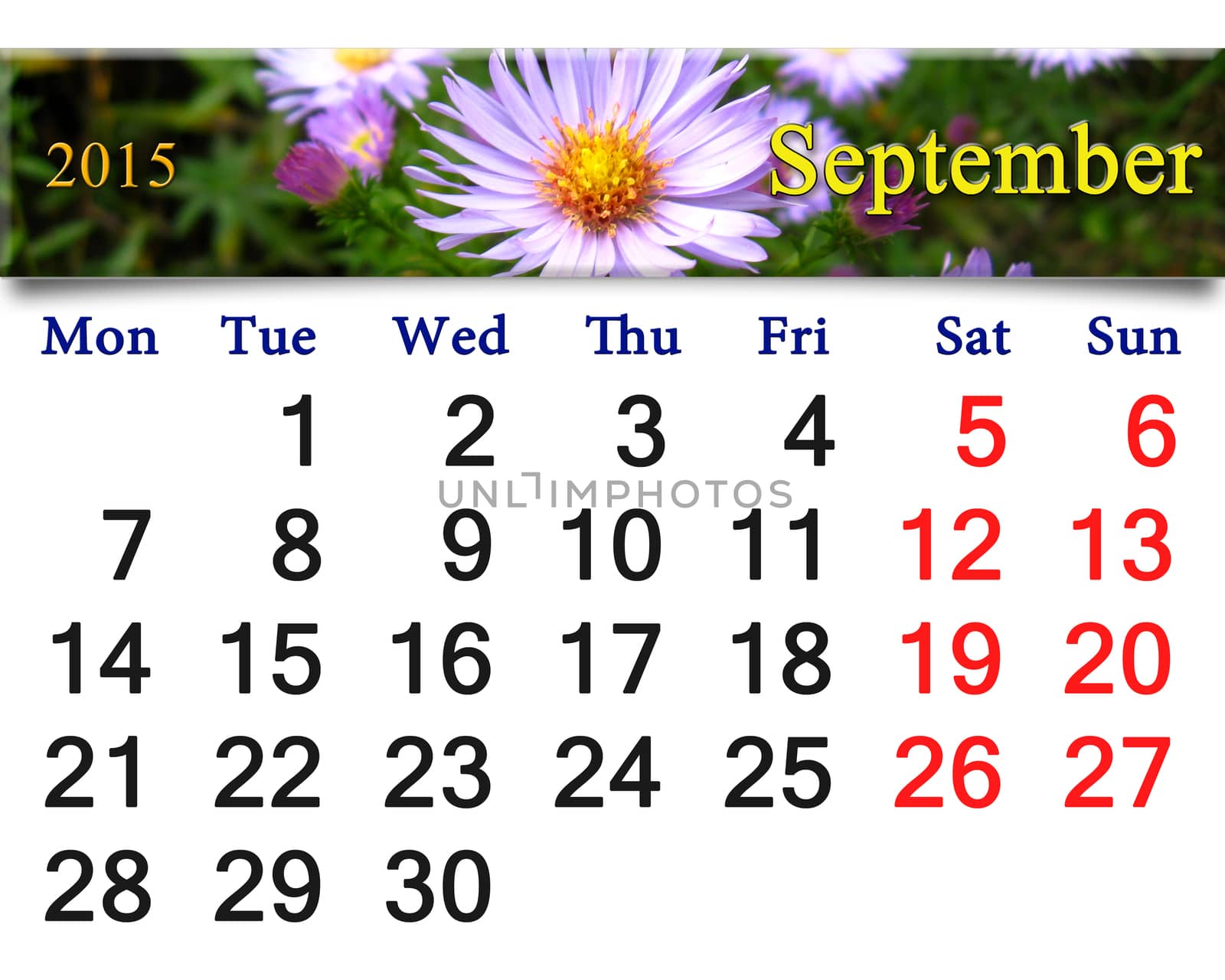 calendar for July of 2015 with flower of aster by alexmak