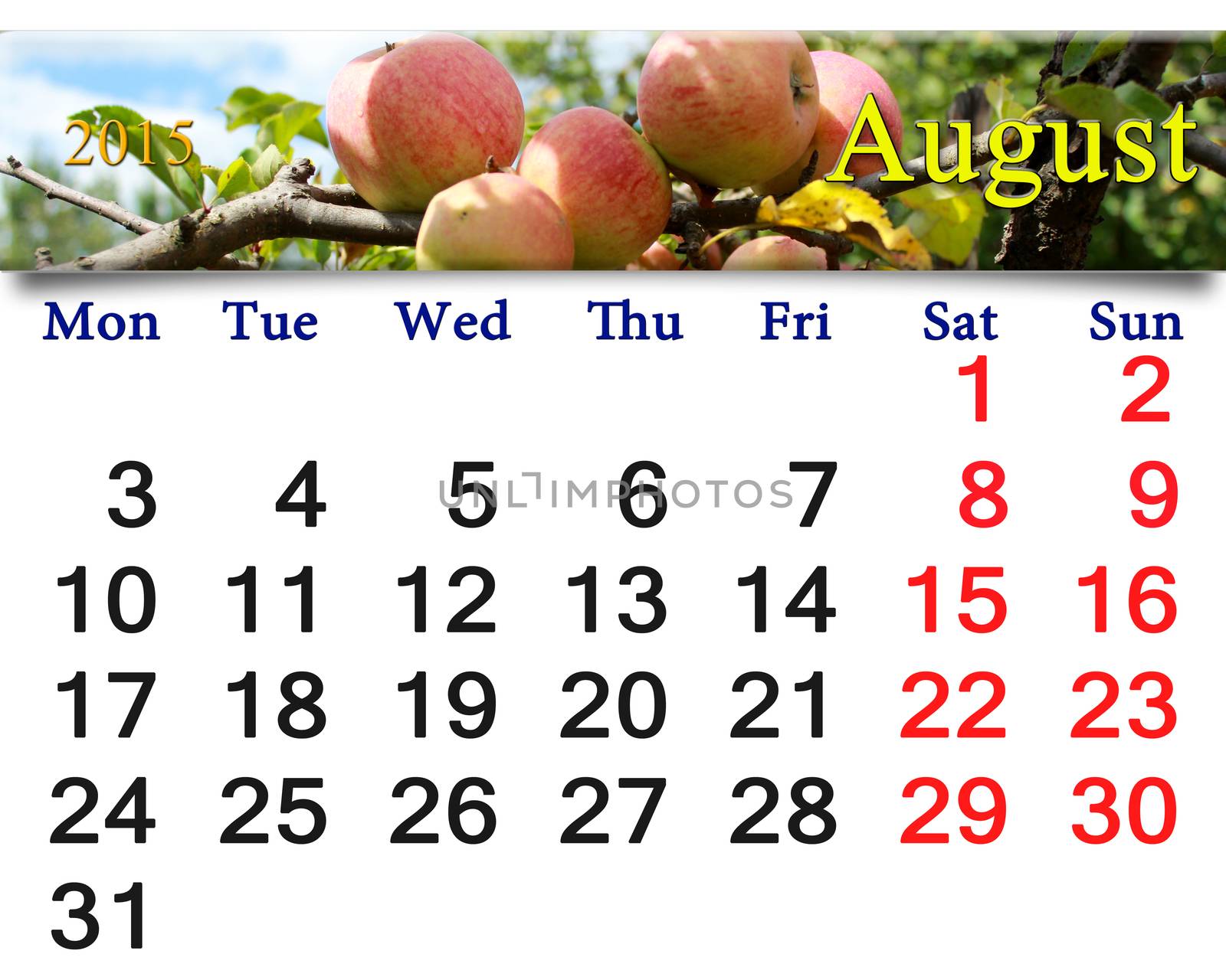 beautiful calendar for the August of 2015 year with image of apples