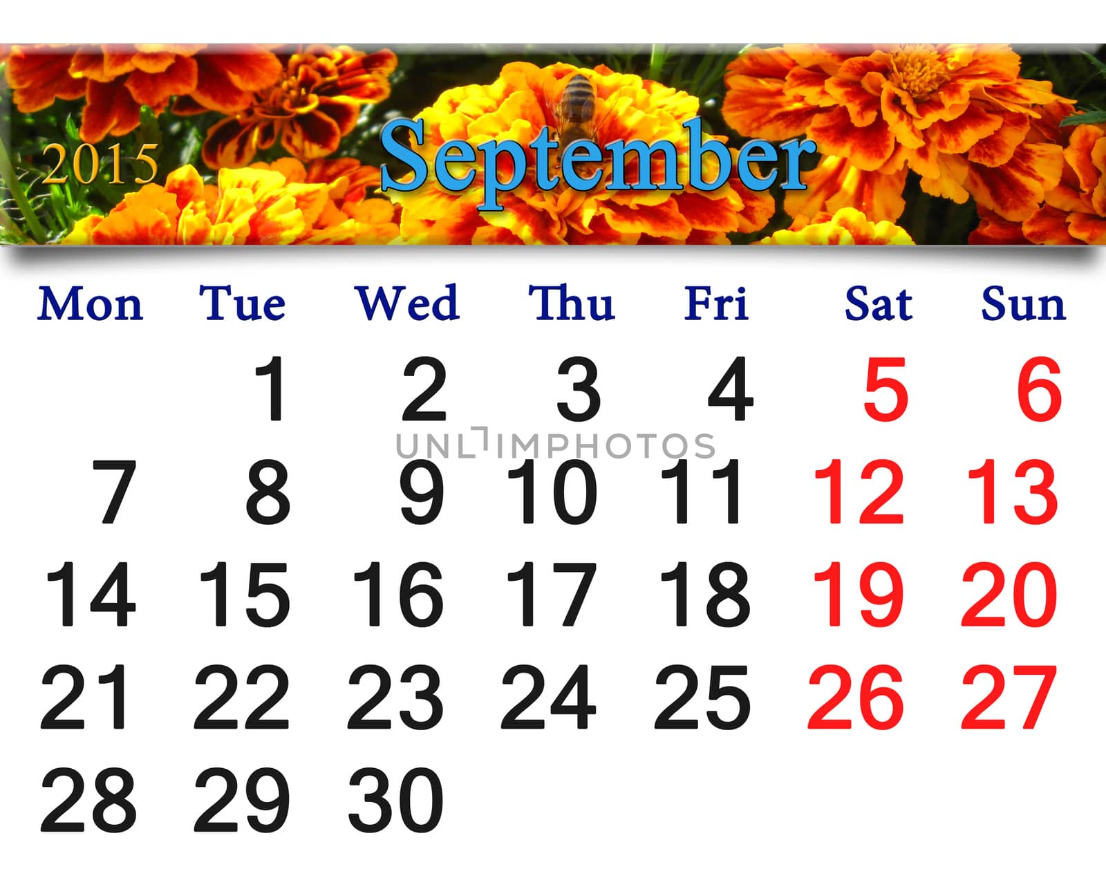 calendar for September of 2015 with tagetes by alexmak