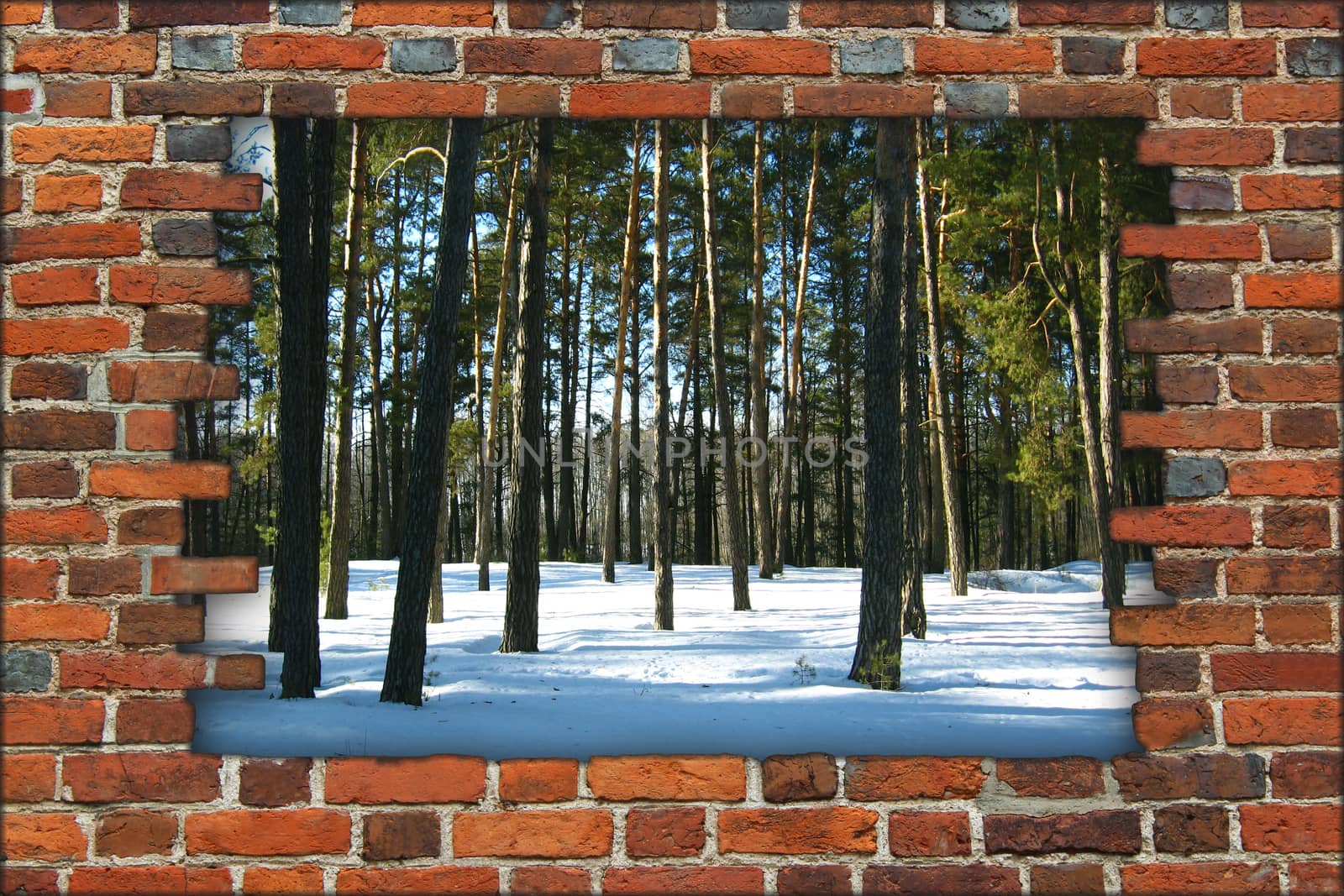 Wall from the red brick by alexmak