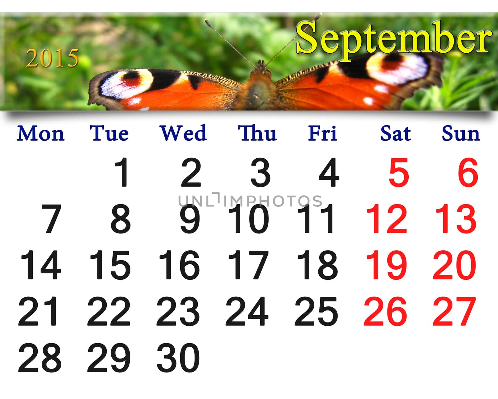 beautiful calendar for September of 2015 year with image of butterfly of peacock eye