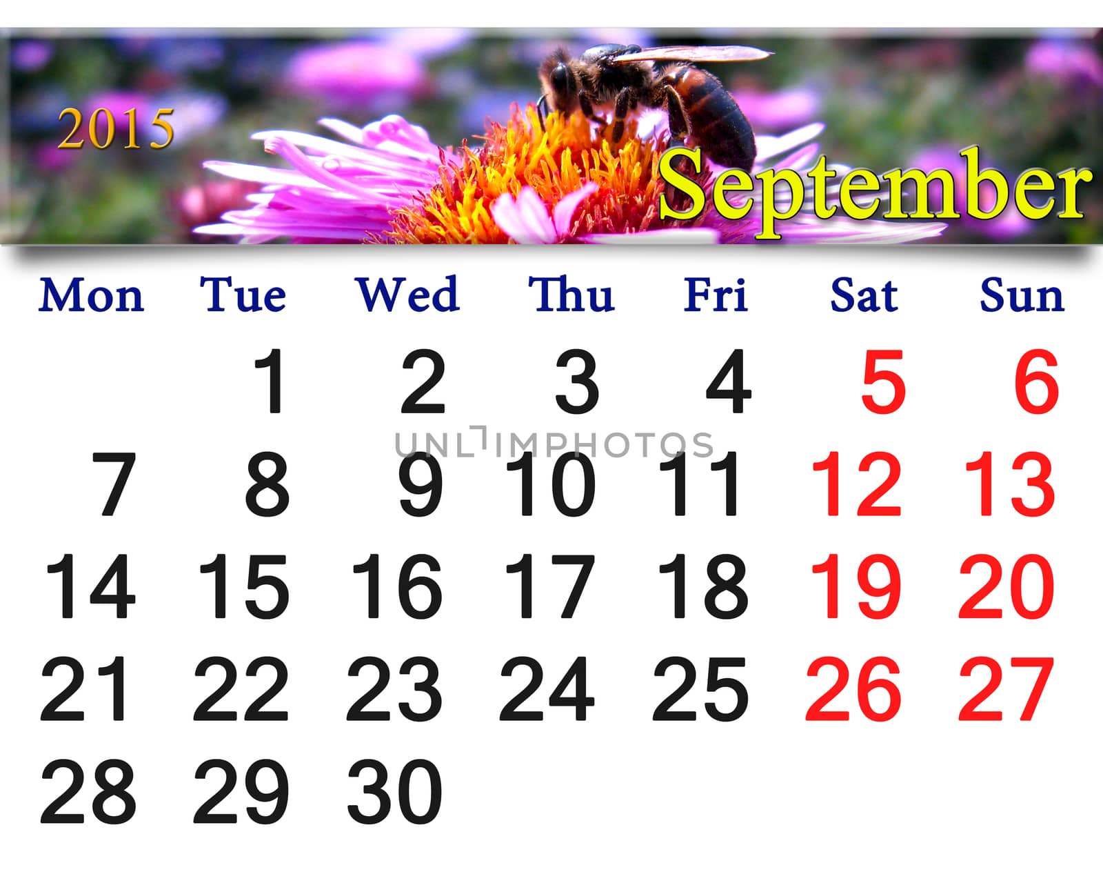 calendar for September of 2015 with bee on flower by alexmak