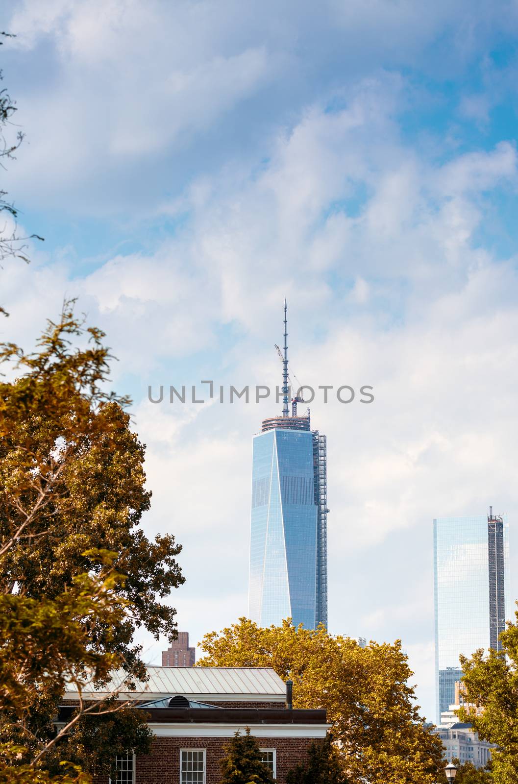 View of New York. Manhattan skyscrapers framed by trees by jovannig