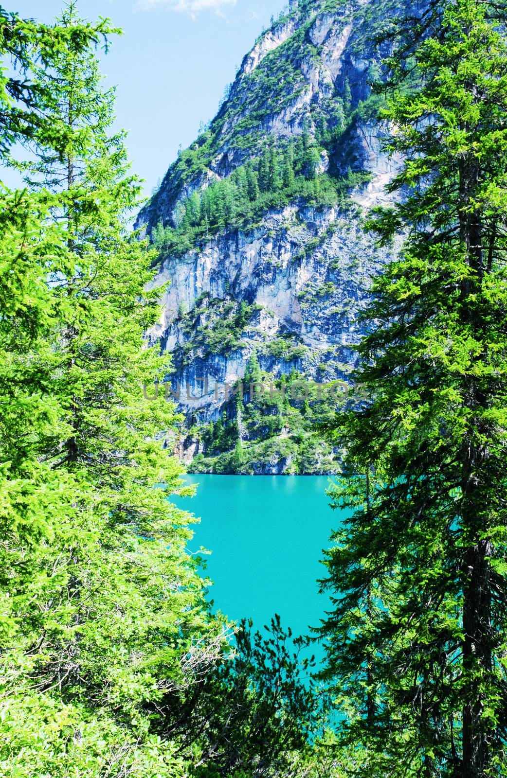 Wonderful green colors of Braies lake - Mountain landscape in Italy.