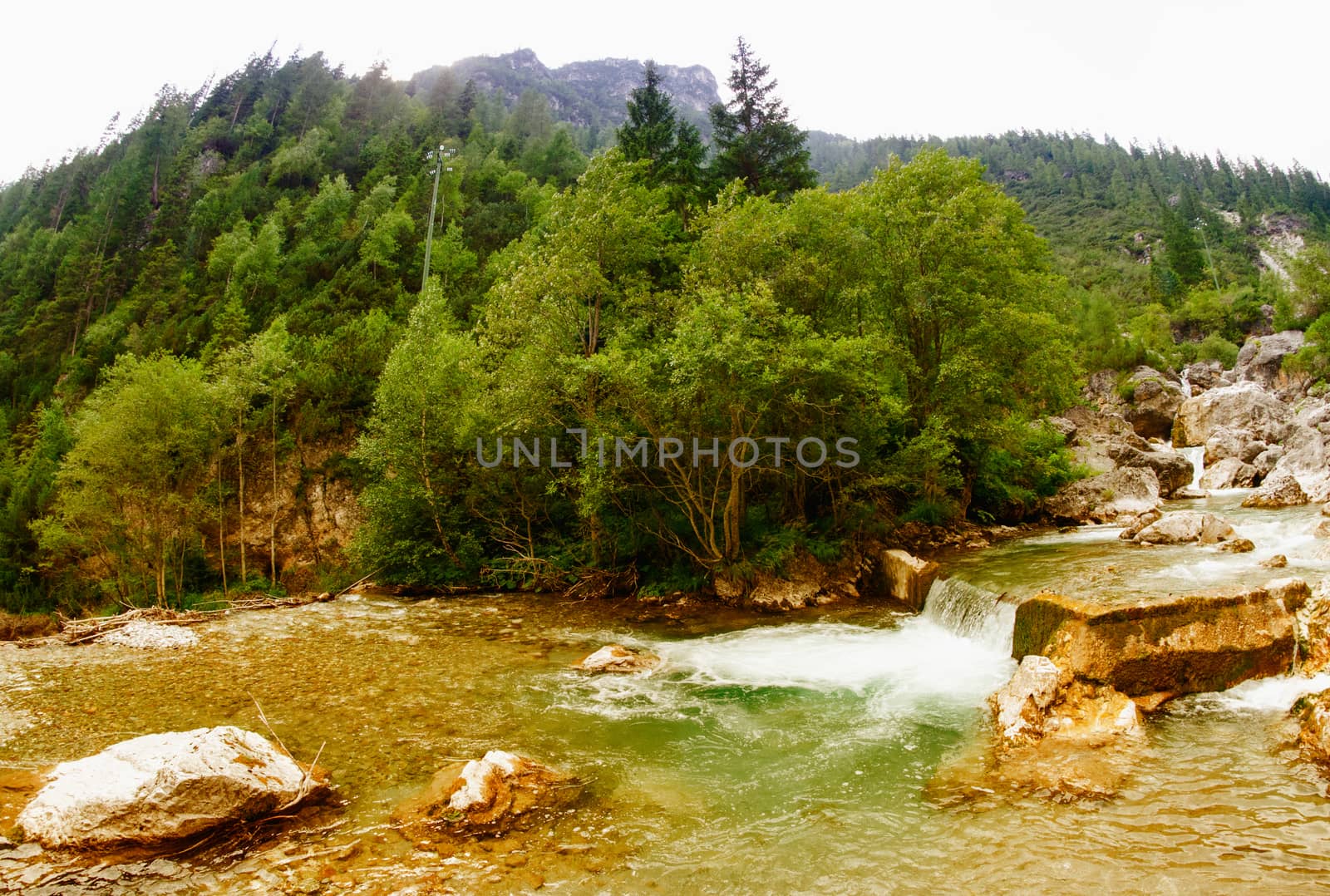 Alpin landscape with river and vegetation.