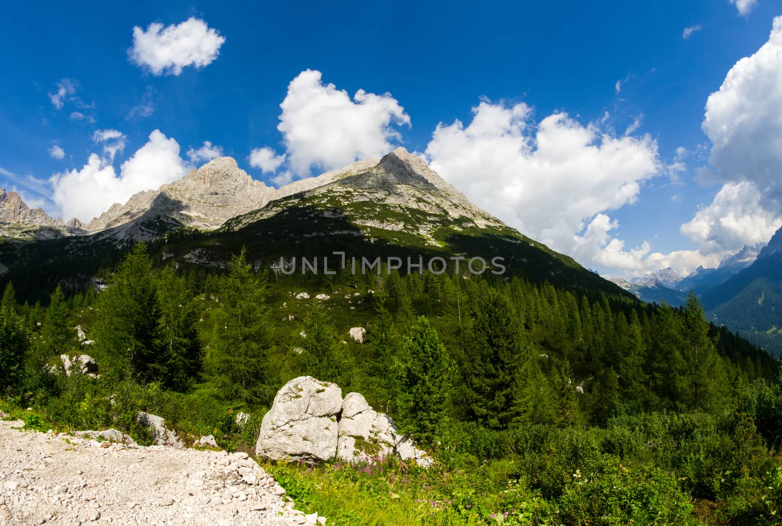 Beautiful landscape of Dolomites. Mountains and Trees in summer by jovannig