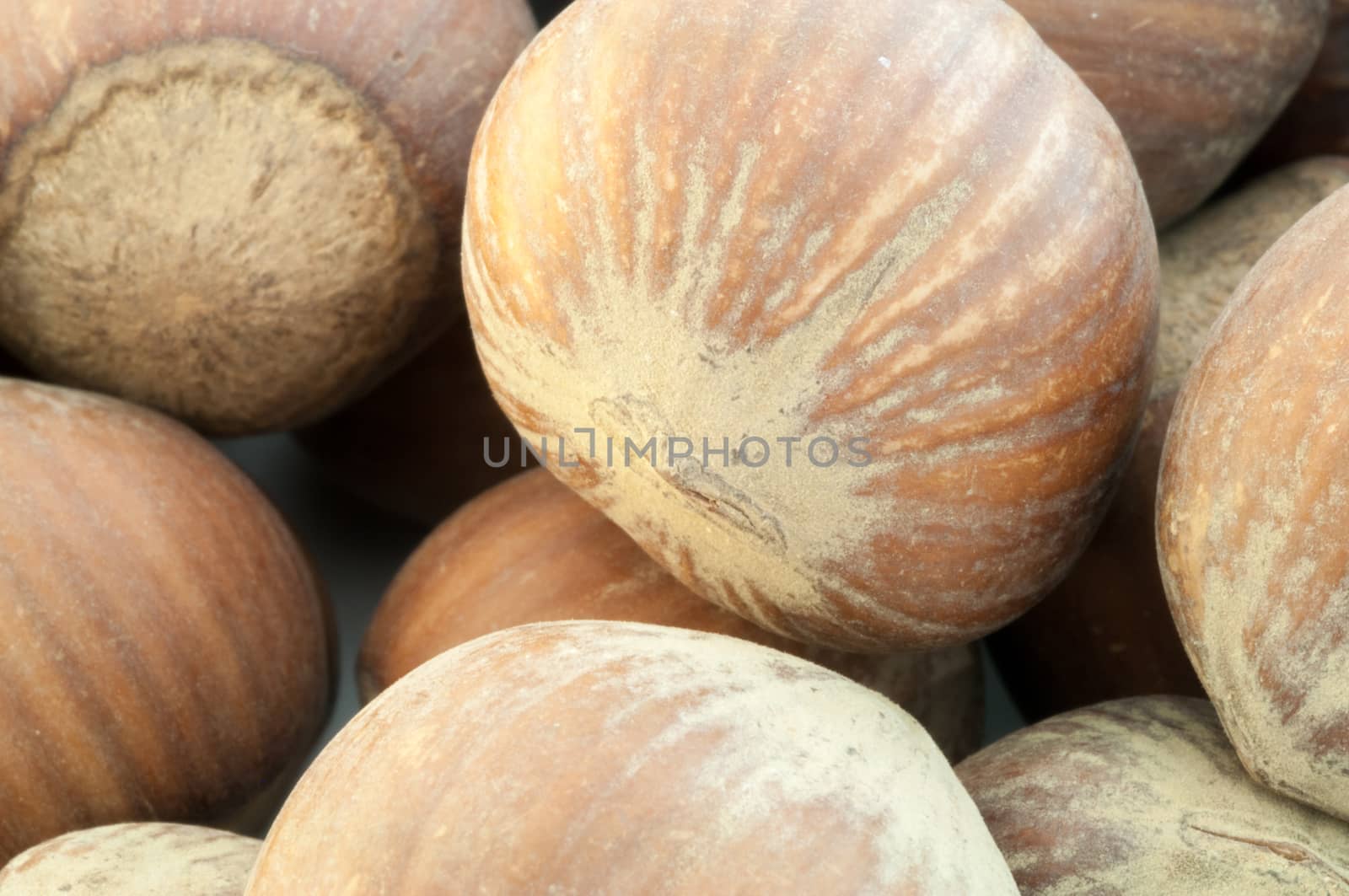 beautiful macro background of harvest of hazelnuts