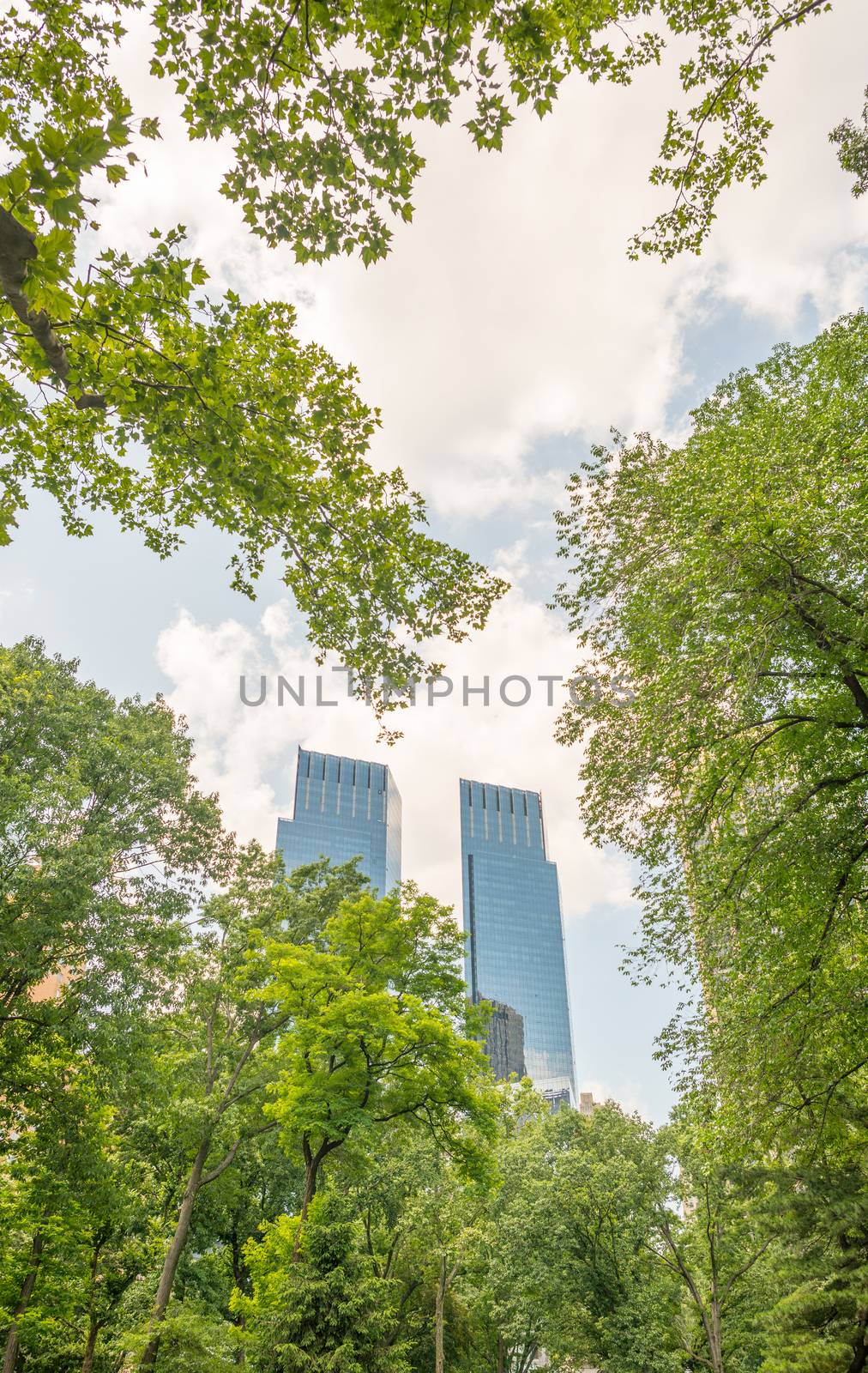 Vegetation of Central Park in Manhattan, New York City by jovannig