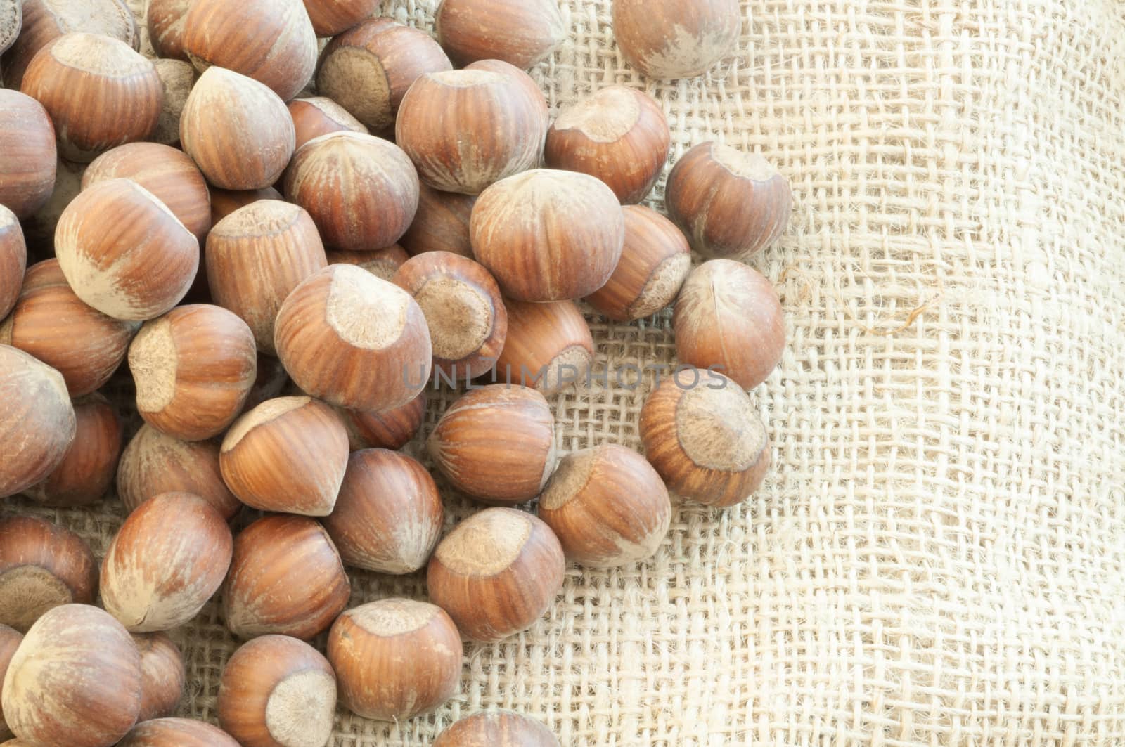 beautiful macro of  hazelnuts on jute background