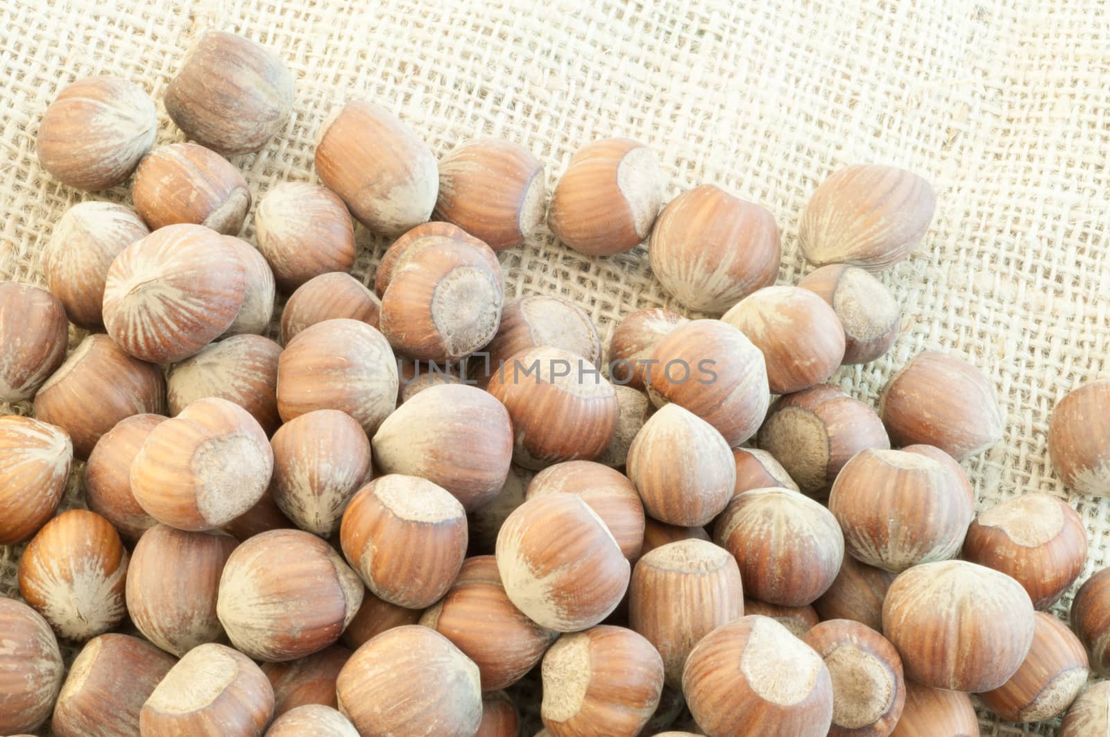 beautiful macro of  hazelnuts on jute background