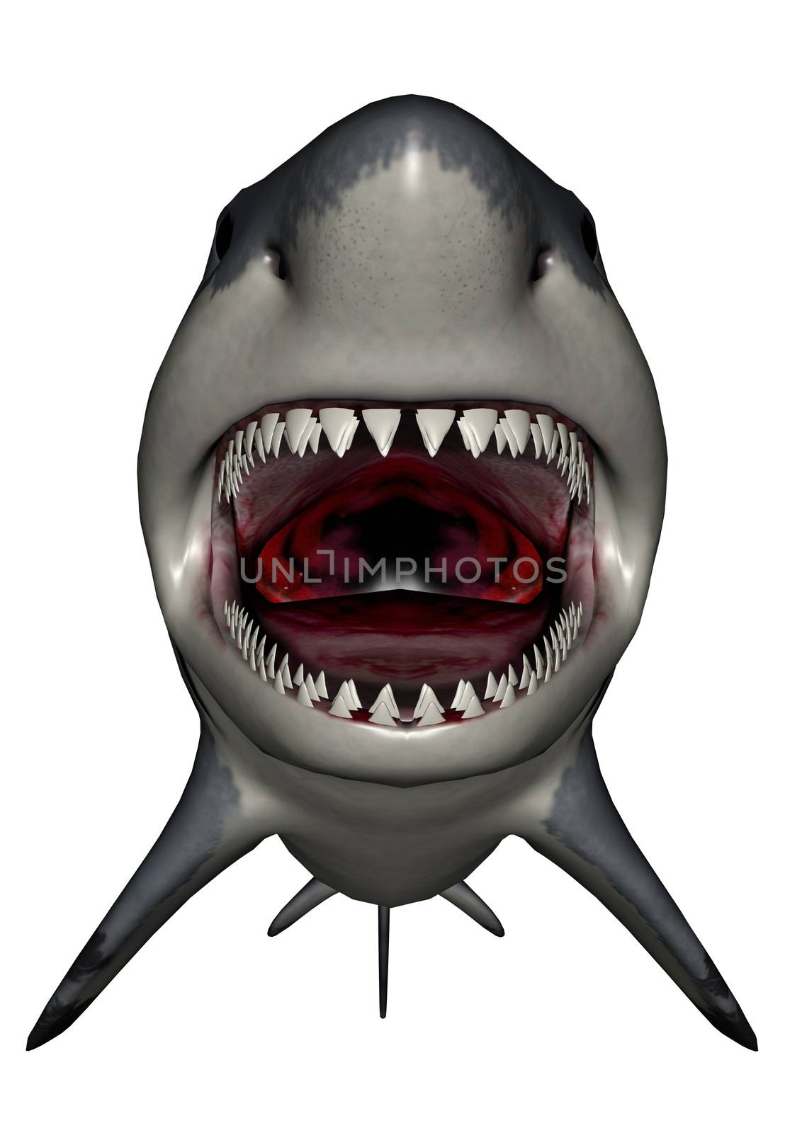 Megalodon dinosaur mouth in white background- 3D render