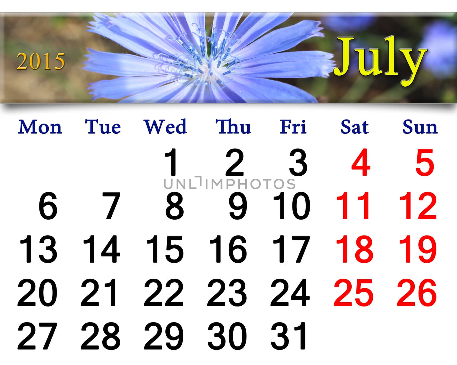 calendar for July 2015 with flowers of Cichorium by alexmak