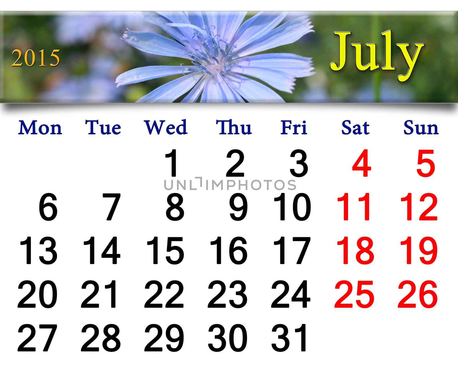 calendar for July 2015 with flowers of Cichorium by alexmak