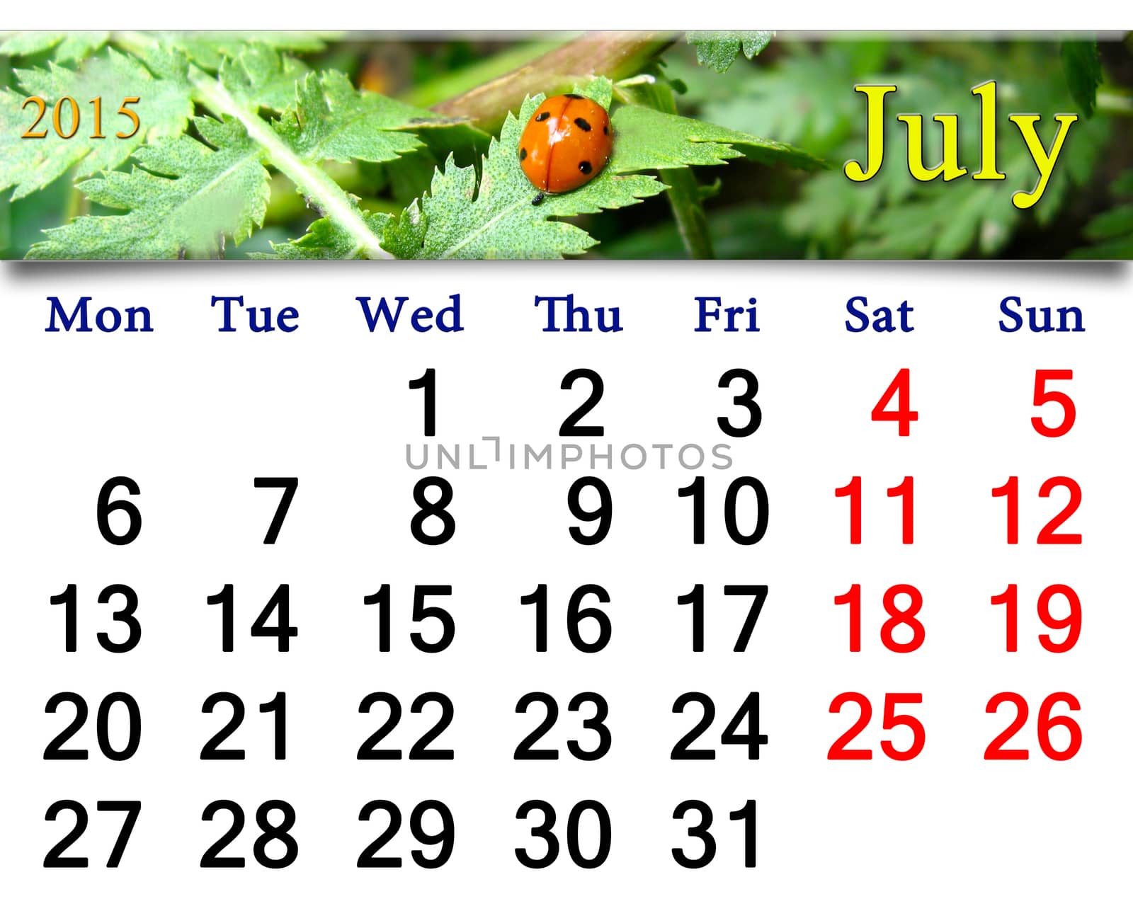 calendar for July of 2015 with ribbon of ladybird on the leaf