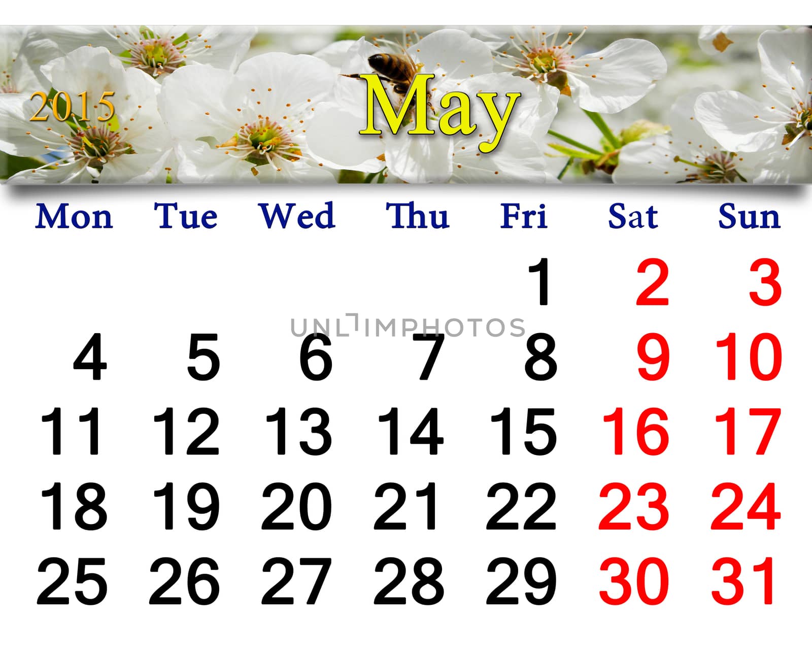 calendar for May of 2015 year with blooming cherry by alexmak