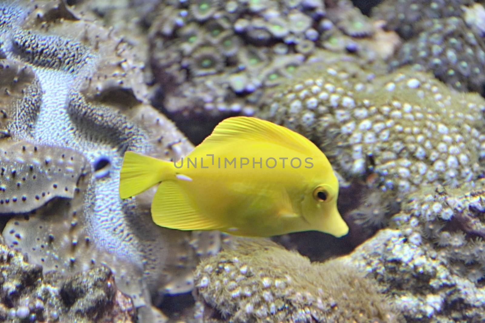 Oceanographic Parc, Valencia by Dermot68