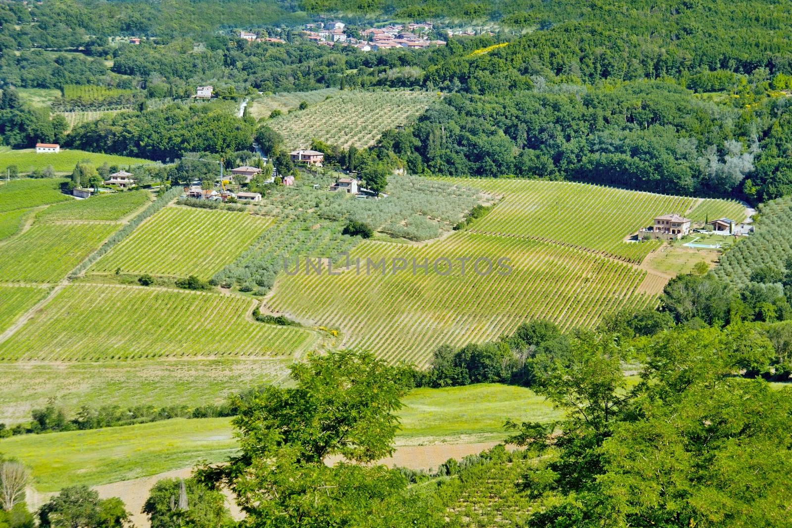 Photo shows a general view onto the Tuscany landscape.